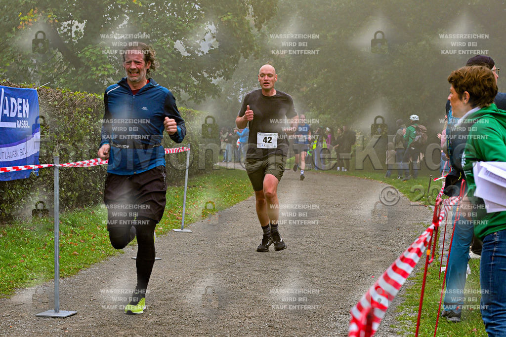 Z8N_1663 | la-psv - Realisiert mit Pictrs.com