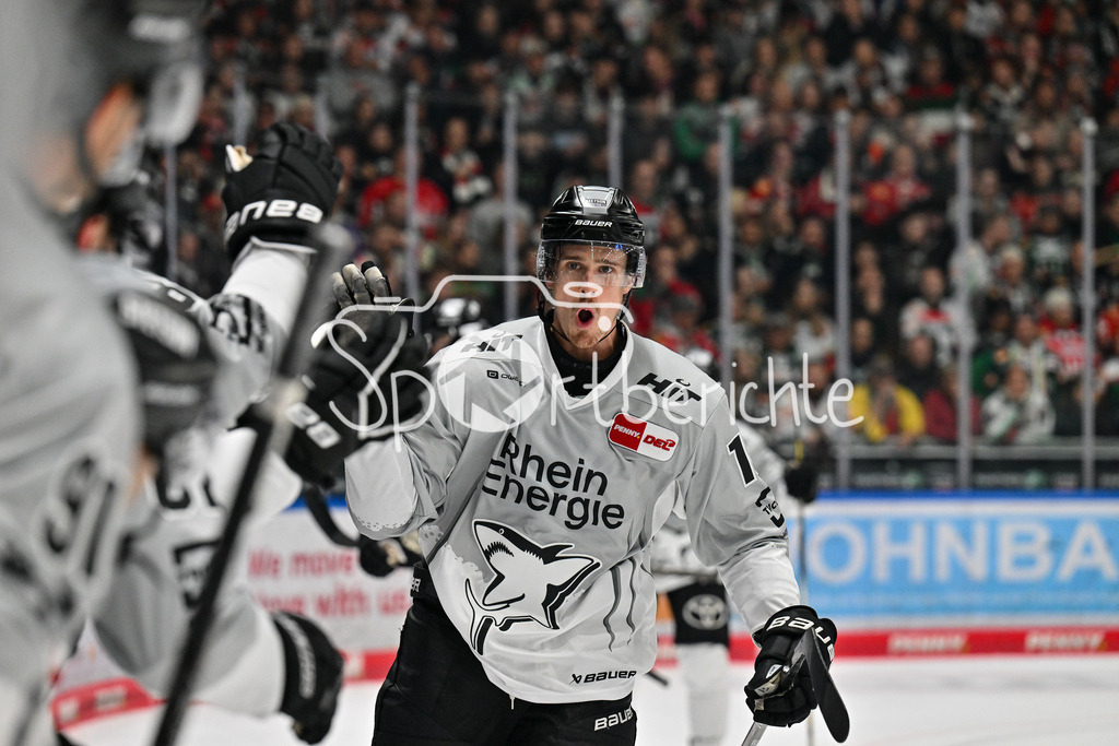 Augsburger Panther - Kölner Haie | Jubel der Haie nach dem Treffer zum 2-4 durch Louis-Marc AUBRY (Koelner Haie #15)  / Tor / Torschuetze / Freude / happy / DEL: Augsburger Panther - Kölner Haie, Curt Frenzel Stadion am 29.09.2024