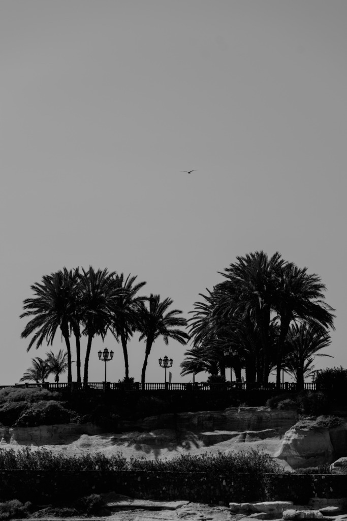 Teneriffa_by Leevke Draack_23 | Du suchst natürliche und atmosphärische Prints oder Leinwanddrucke? In diesem Shop gibt es alles, nur kein Mainstream. - Realisiert mit Pictrs.com