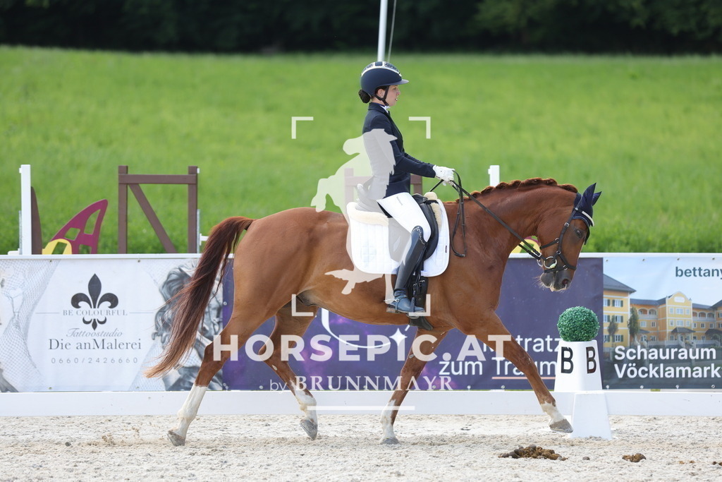 0P6A1535 | Willkommen bei Brunnmayr - Design & Fotografie – Ihrem Spezialisten für Reitturniere und Pferdeveranstaltungen in Oberösterreich, Salzburg und Bayern! Seit über 17 Jahren sind wir leidenschaftlich dabei.