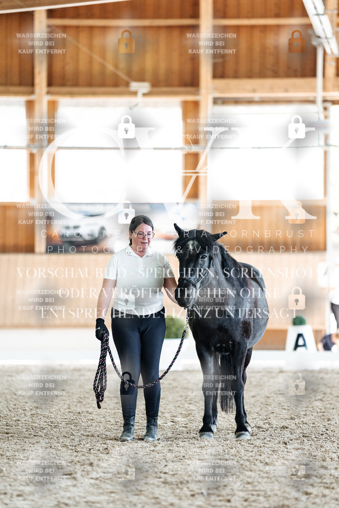 CK907962 | Turnierfotografie Pferdefotografie Trier Rheinland-Pfalz Pferdesport Reitsport Tierfotografie Sportfotografie Pferdevideo Pferdevideografie Equestrianvideography equestrianphotography  - Realisiert mit Pictrs.com
