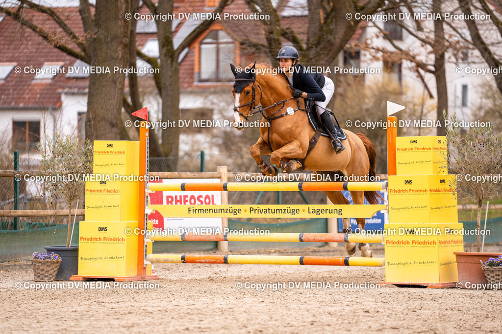 Kranichstein Tag 2-446 | dv-media-shop - Realisiert mit Pictrs.com