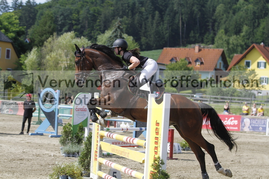 _MG_6261 | equestrian-live-com