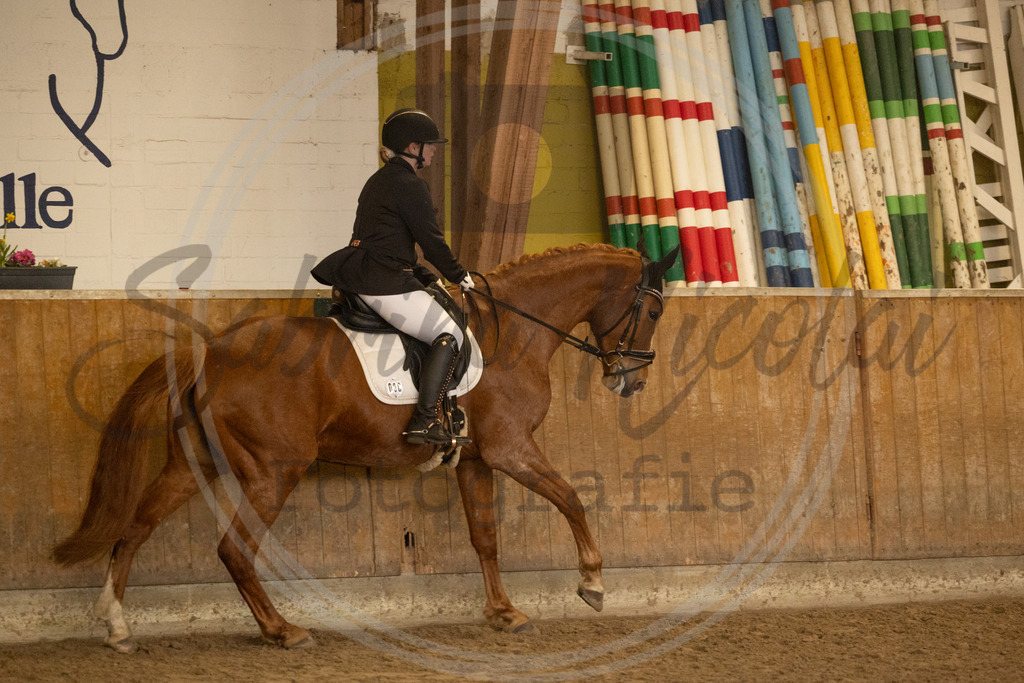 994A9266 | sabrinanicolaifotografie - Realisiert mit Pictrs.com