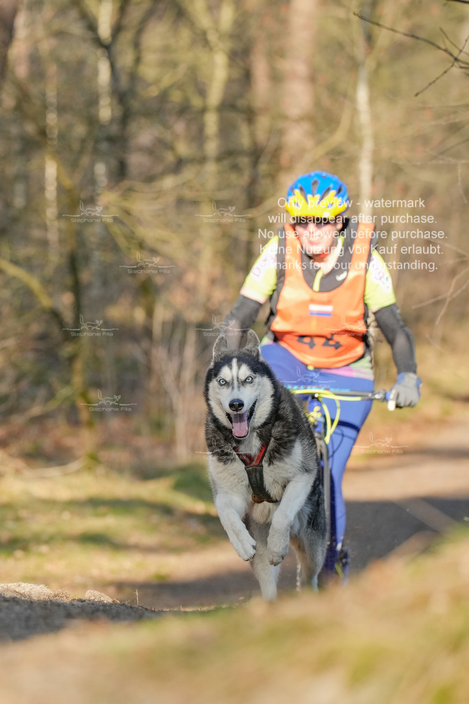 Sa_Scooter-190 | stephaniefillaphotographie - Realisiert mit Pictrs.com