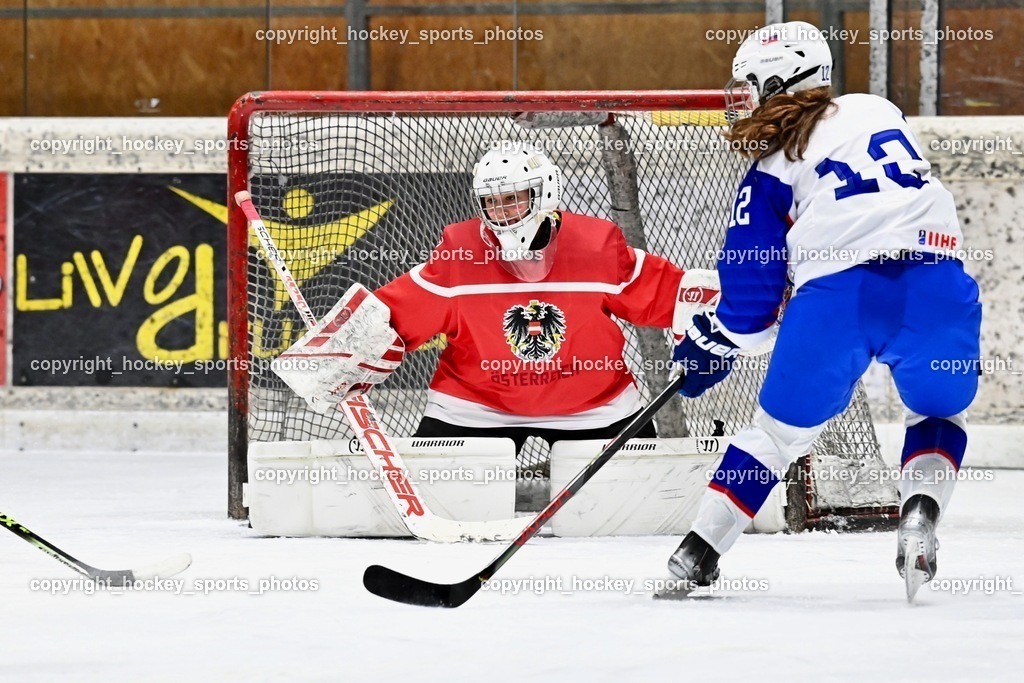 BST_3508 | hockey sports photos, Pressefotos, Sportfotos, hockey247, win 2day icehockeyleague, Handball Austria, Floorball Austria, ÖVV, Kärntner Eishockeyverband, KEHV, KFV, Kärntner Fussballverband, Österreichischer Volleyballverband, Alps Hockey League, ÖFB, 