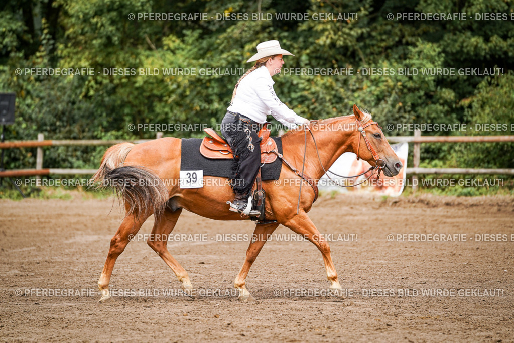 DSC06751 | Pferdegrafie