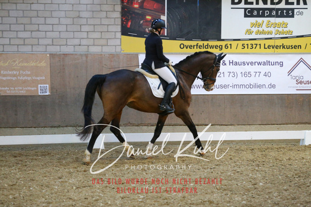 IMG_3023 | Turnierfotos kaufen im Webshop von Daniel Kuhl Photography – entdecke professionelle Reitsportfotos aus Turnieren & Events. Hochwertige Turnierbilder online bestellen & sichern. Jetzt Fotos von Reitsportturnieren kaufen!