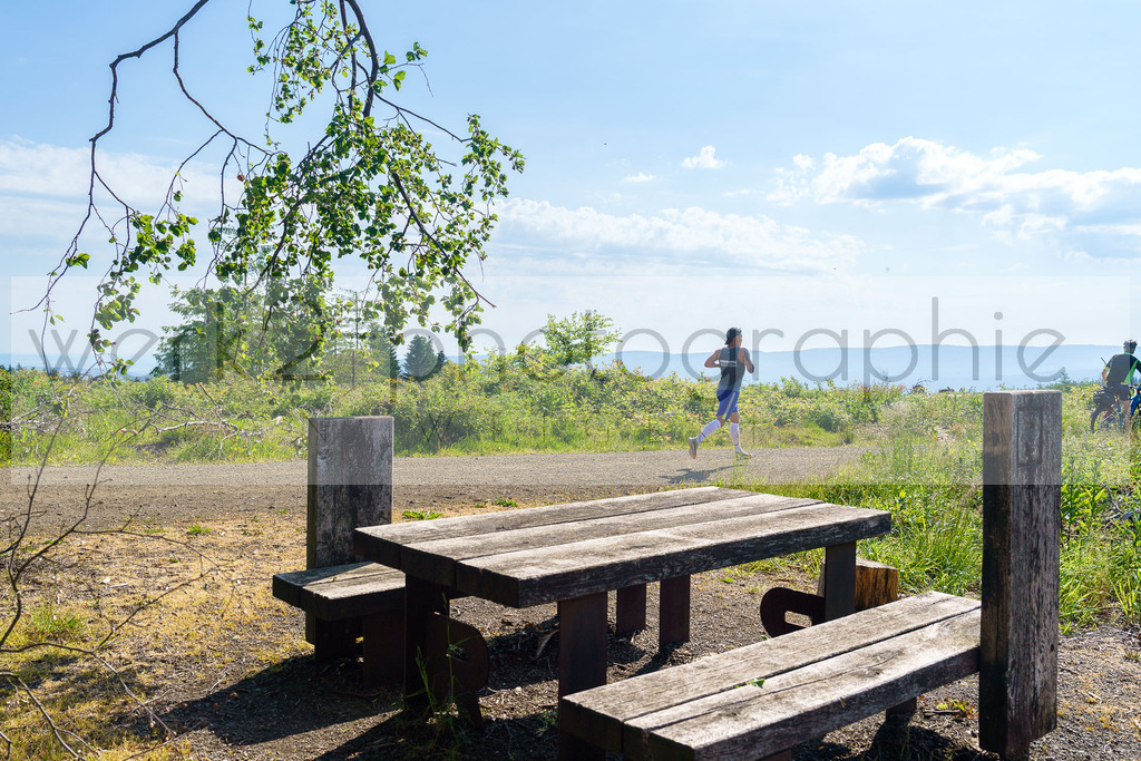 Rennsteig-Staffellauf 2023 | Rennsteig-Staffellauf - Hörschel bis Blankenstein - 17. Juni 2023