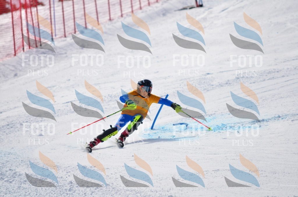 C9872 | holidayphoto