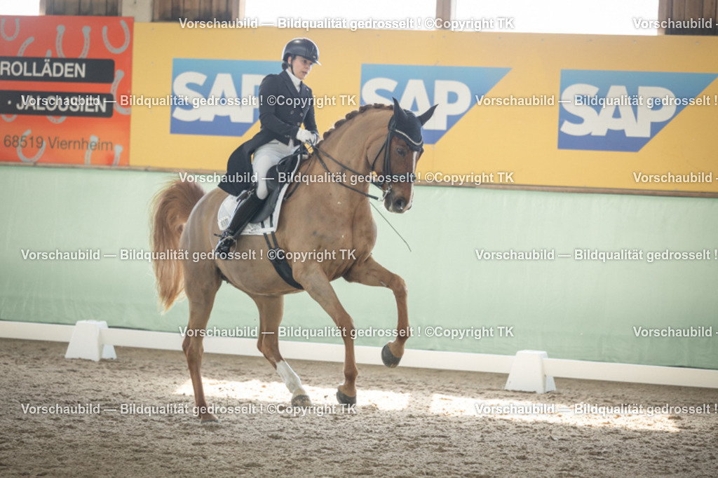 _D5A1393 | Emotionale Pferde- & People-Fotografie rund um Heidelberg, Leimen & Umgebung. Natürliche Fotos von Pferd, Mensch & Familie. Jetzt Termin sichern!