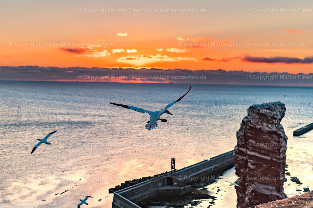 Helgoland  Bastölpel_ELS_7058030818 | Helgoland - Aufnahmedatum: 31.07.2018, Aufnahmehöhe:  m, Koordinaten:  - , Bildgröße: 7163 x  4775 Pixel - Copyright 2018 by Martin Elsen, Kontakt: Tel.: +49 157 74581206, E-Mail: info@schoenes-foto.deSchlagwörter:Schleswig-Holstein,Landkreis Pinneberg,Düne,Hochseeinsel,Börteboote,Meer,Küste,Halunder,Oberland,Unterland,Strand,Seehunde,Robben,Lange Anna,Felsen,Roter Felsen,Luftbild,Luftbilder,Bastölpel - Realisiert mit Pictrs.com