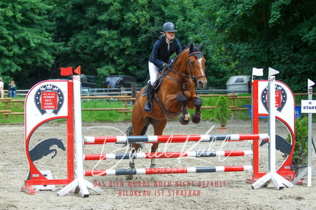 DKP45040 | Turniersportfotografie; Pferdefotografie; Dressurfotografie