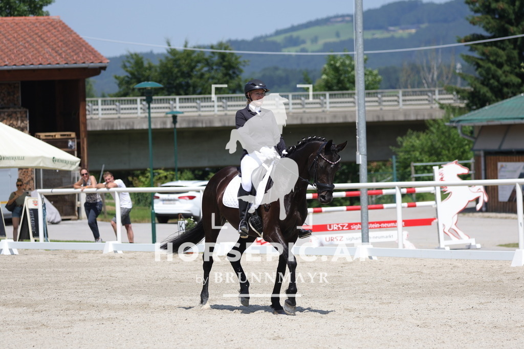 0P6A5107 | Willkommen bei Brunnmayr - Design & Fotografie – Ihrem Spezialisten für Reitturniere und Pferdeveranstaltungen in Oberösterreich, Salzburg und Bayern! Seit über 17 Jahren sind wir leidenschaftlich dabei.