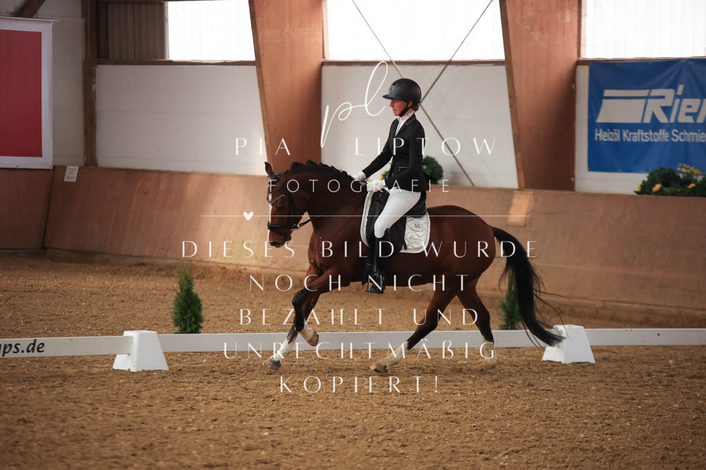 IMGT7149 | pl-fotografie