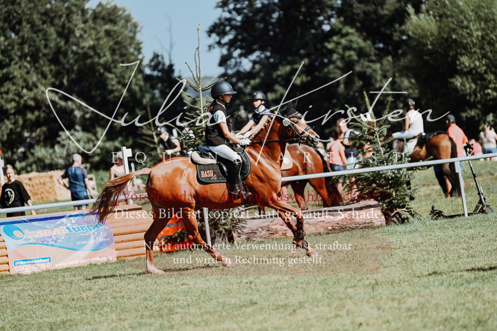 DSC_6842 | Pferde- und Turnierfotografie in Westsachsen. Pferdeportraits, Auftragszeichnungen und intuitive Kunst.