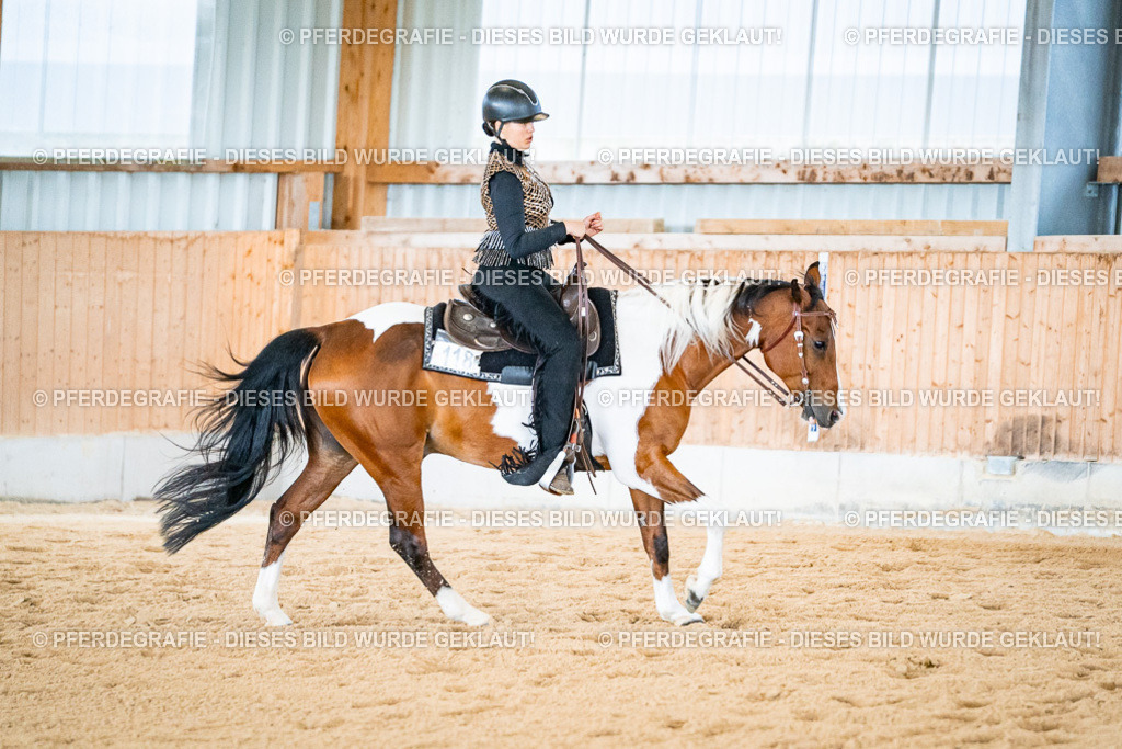 DSC02436 | Pferdegrafie