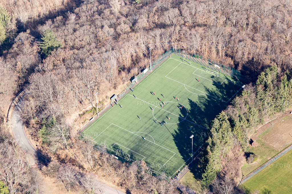Luftbild: Sportschule, SW-Deutscher FV eV in Edenkoben im Bundesland Rheinland-Pfalz in Deutschland. Foto: IMG_112720.jpg vom 27.02.2019 durch Werner Riehm/FLY-FOTO.de