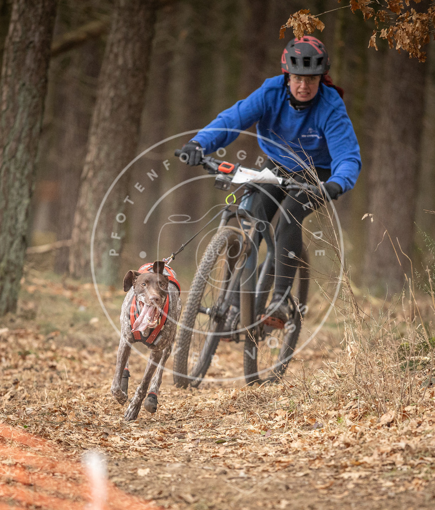 Pfotenfotografie_DV3A3274 | Hundefotografie, Tierfotograf, Pfotenfotografie, Fotoshooting Hund, Hunde Portrait, Hundesport, Hundeportraits, Heideshooting, Hunde, Sportfotograf, Hundefotograf, Turnierhundsport, THS,  - Realisiert mit Pictrs.com