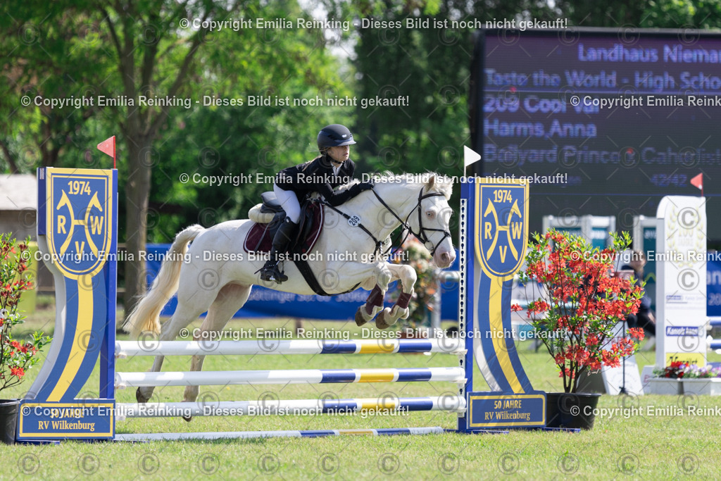 CL5A1663 | Emilia Reinking Fotografie - Realisiert mit Pictrs.com