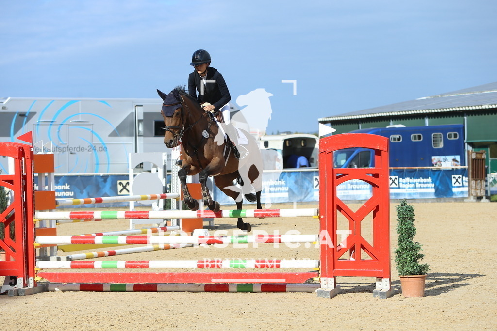 DL2Q4703 | Willkommen bei Brunnmayr - Design & Fotografie – Ihrem Spezialisten für Reitturniere und Pferdeveranstaltungen in Oberösterreich, Salzburg und Bayern! Seit über 17 Jahren sind wir leidenschaftlich dabei.