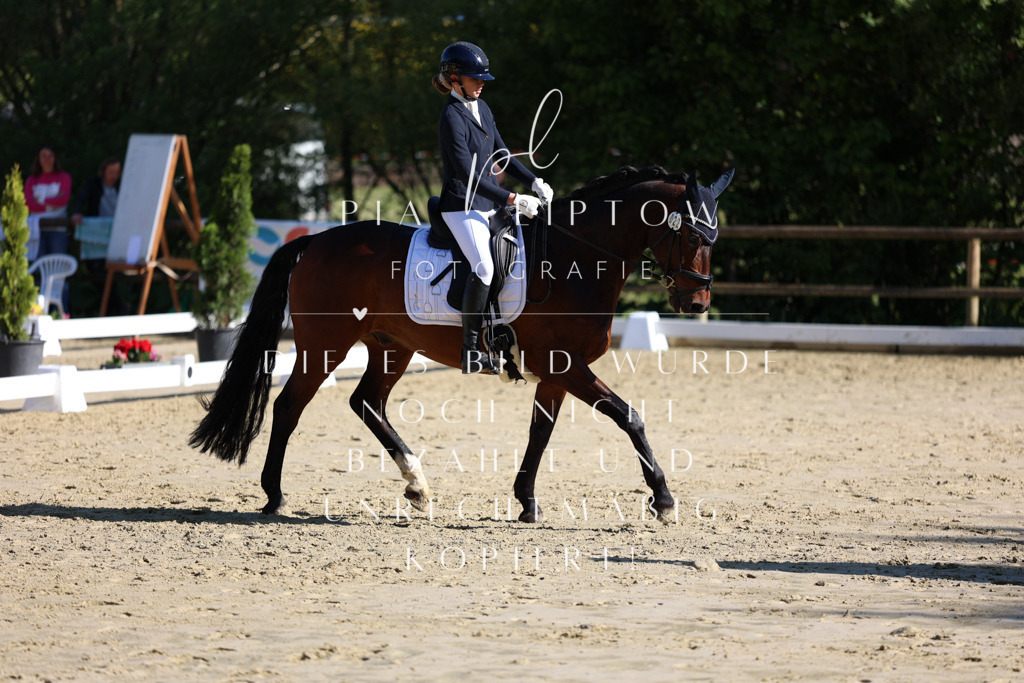 IMGT9584 | pl-fotografie