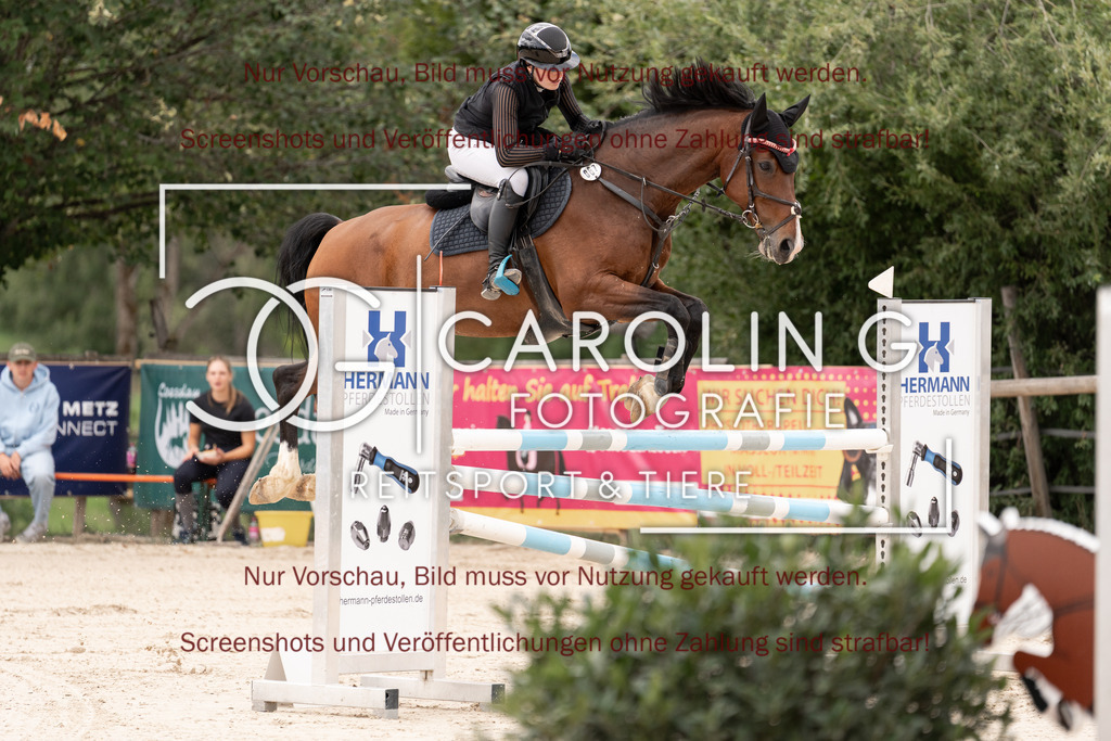 DSC06430 | Springturnier_Teamchallege_Talheim_2026, Lara-Sophie_Strohm, Champ_Charming