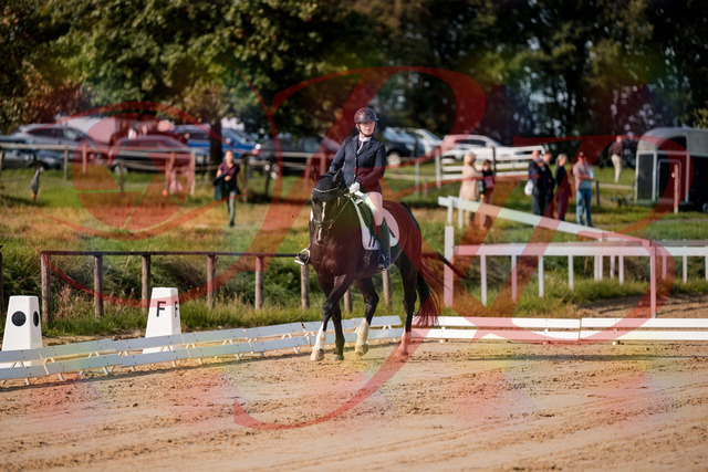 2026_10_03_Siefer-Hof_113454_Z63_20624318 | Professionelle Reitsport-, Turnier- und Eventfotografie von Robert Broda. Galerien mit ausgewählten und bearbeiteten Bildern direkt online ansehen und bestellen.