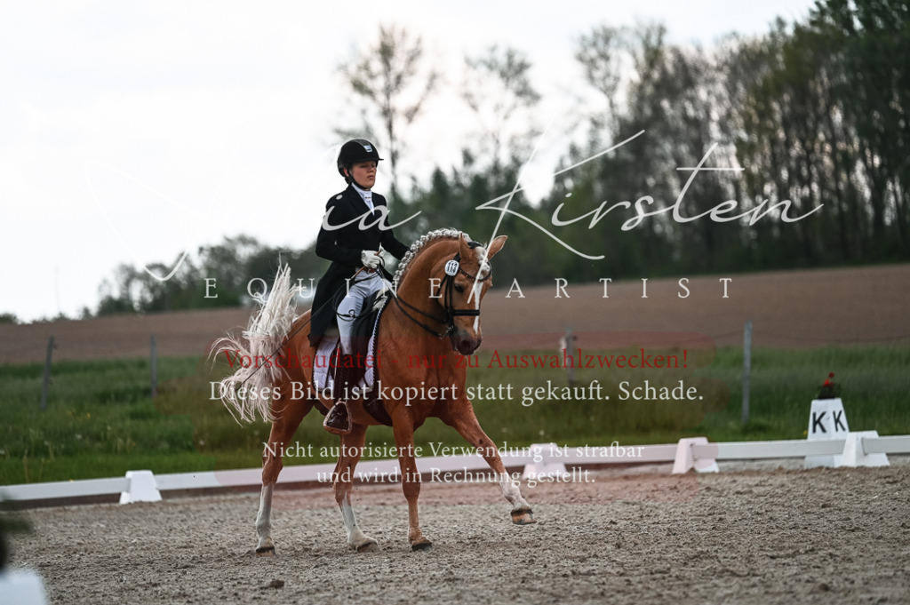 20230514_JK-Röhrsdorf-21-412 | Pferde- und Turnierfotografie in Westsachsen. Pferdeportraits, Auftragszeichnungen und intuitive Kunst.