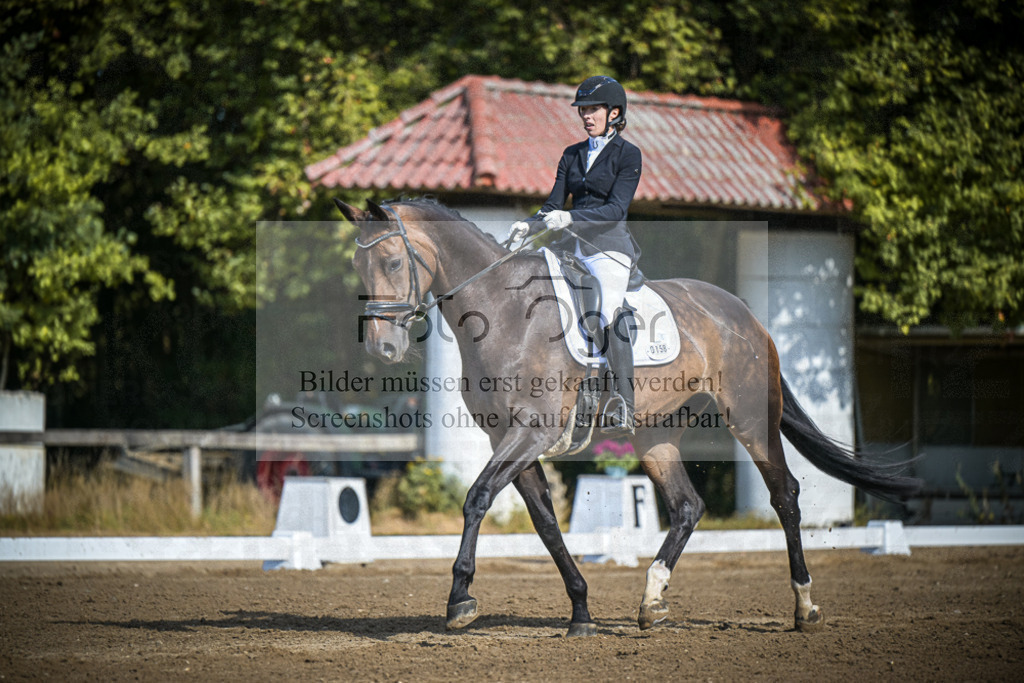 DOS_3224 | Entdecke hochwertige Reitturnierfotos von Foto Oger. Professionell, emotional und authentisch – jetzt Lieblingsmomente im Shop bestellen.Deutschlandweite Turnierfotografie. - Realisiert mit Pictrs.com