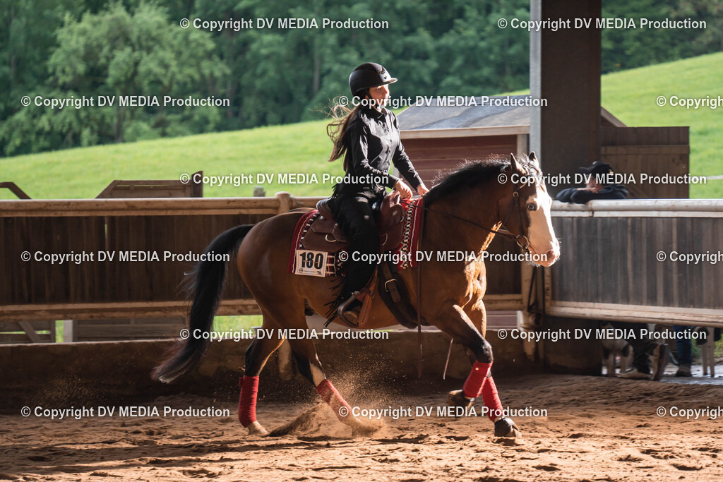 Erbach Tag 1-1007 | dv-media-shop - Realisiert mit Pictrs.com