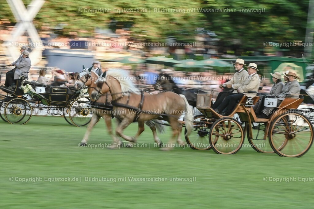 20230526_Pferdenacht_0214 | equistock