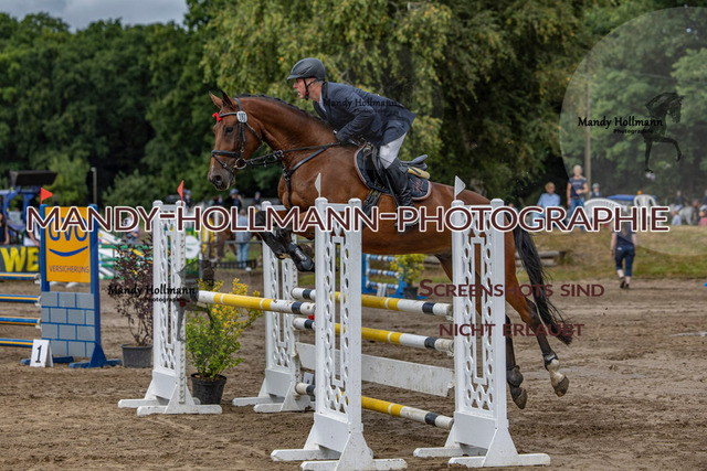 17.8 SPR L (30 von 875) | mandyhollmannphotographie