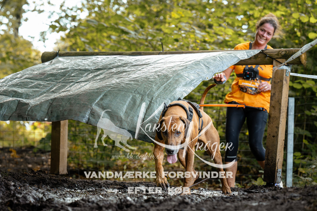 1415DZ6_1317Z6 | kk-dogfotos
