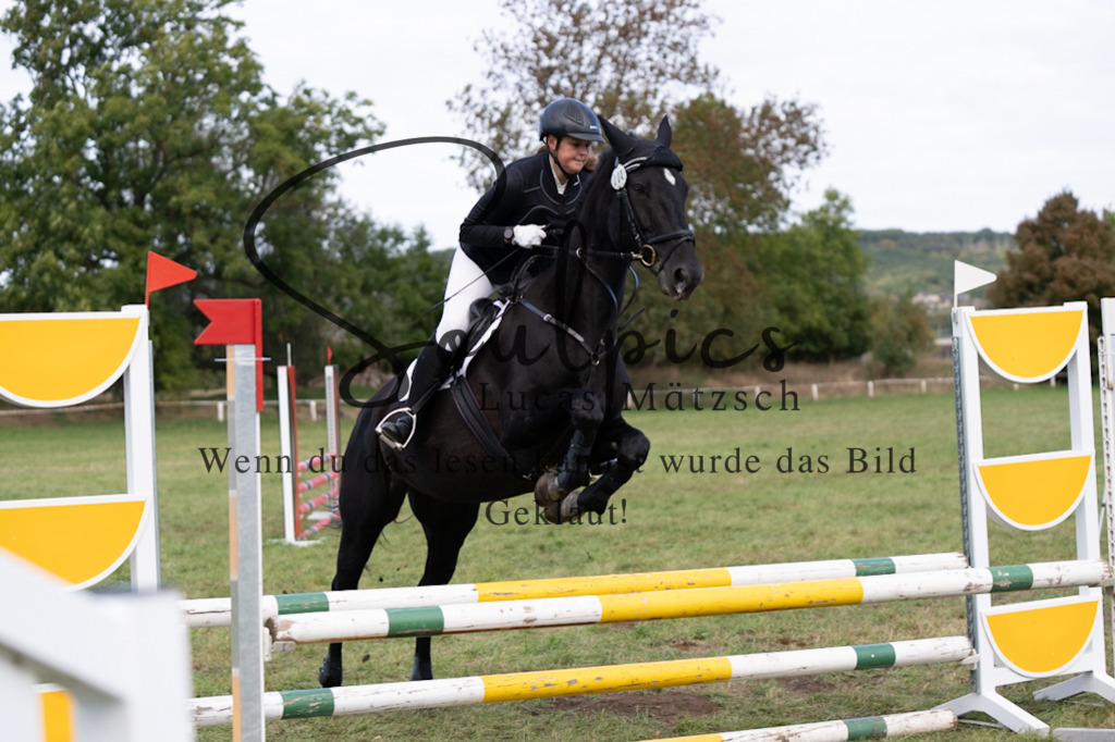 A7V06481 | Pferdefotograf