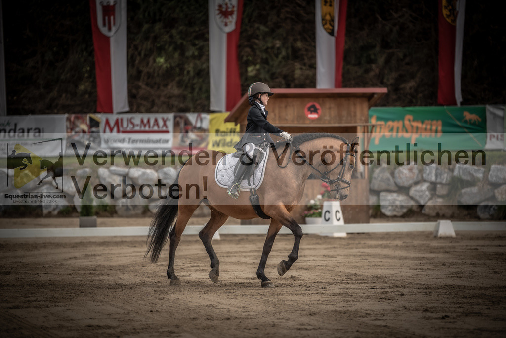 DSC_8401 | equestrian-live-com