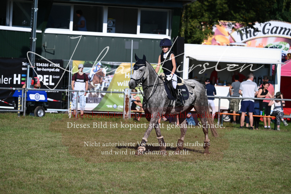DSC_5049 | Pferde- und Turnierfotografie in Westsachsen. Pferdeportraits, Auftragszeichnungen und intuitive Kunst.