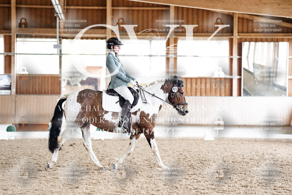 CK901049 | Turnierfotografie Pferdefotografie Trier Rheinland-Pfalz Pferdesport Reitsport Tierfotografie Sportfotografie Pferdevideo Pferdevideografie Equestrianvideography equestrianphotography  - Realisiert mit Pictrs.com