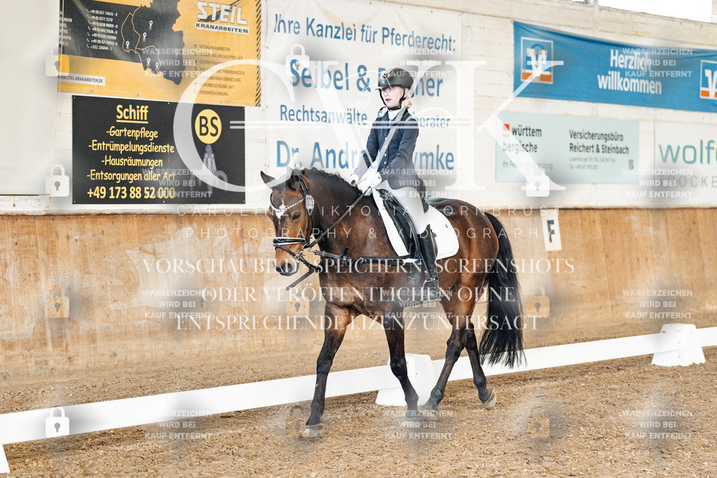 CK900464 | Turnierfotografie Pferdefotografie Trier Rheinland-Pfalz Pferdesport Reitsport Tierfotografie Sportfotografie Pferdevideo Pferdevideografie Equestrianvideography equestrianphotography  - Realized with Pictrs.com