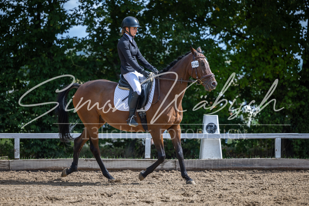 20260905-_3LI7740 | Tierfotografie Pferde, Hunde, Katzen, Haustiere.
Turnierfotografie Reitturniere, Reiten, Springreiten, Dressur in Hanau, dem Main-Kinzig-Kreis und dem Rhein-Main- Gebiet um Frankfurt