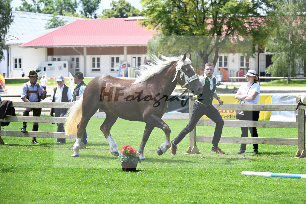 Kat-Nr. 43 Pikora v. Salvator II_Laumer_22240756 | hf-fotografie - Realizzato con Pictrs.com