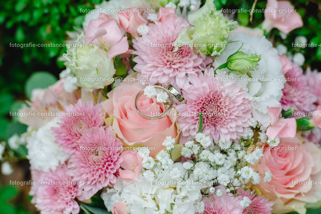 1009 | Fotografie Constance Gruber - Realisiert mit Pictrs.com