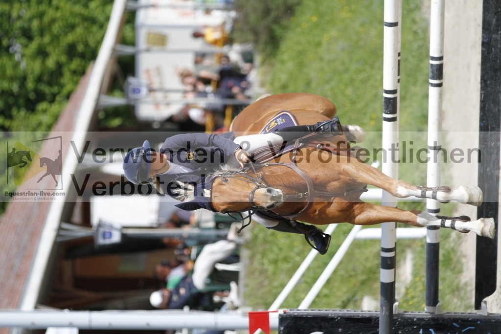 _MG_8782 | equestrian-live-com