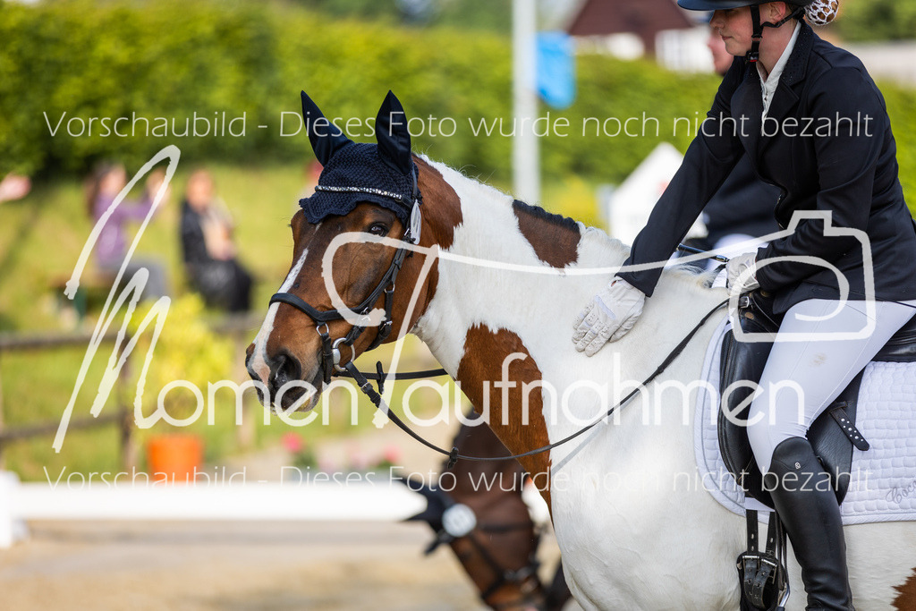 Donop24-A-Dre-051 | MomenTaufnahmen Pferdesportfotos