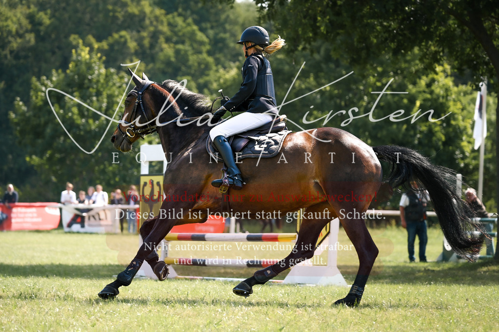 DSC_8963 | Pferde- und Turnierfotografie in Westsachsen. Pferdeportraits, Auftragszeichnungen und intuitive Kunst.