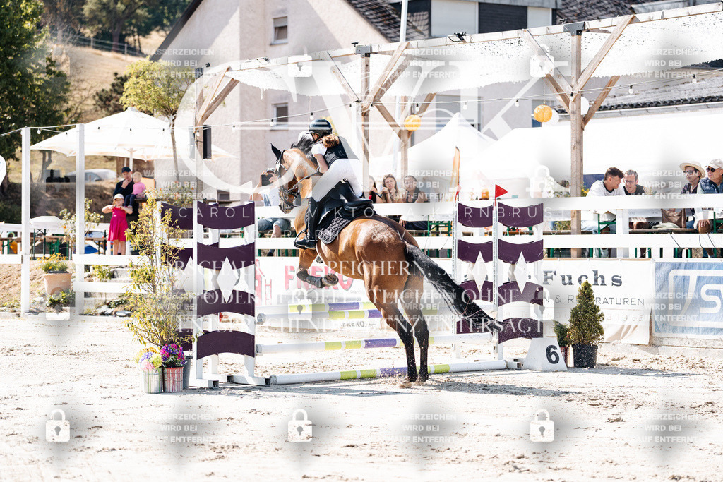 CK905153 | Turnierfotografie Pferdefotografie Trier Rheinland-Pfalz Pferdesport Reitsport Tierfotografie Sportfotografie Pferdevideo Pferdevideografie Equestrianvideography equestrianphotography  - Realisiert mit Pictrs.com