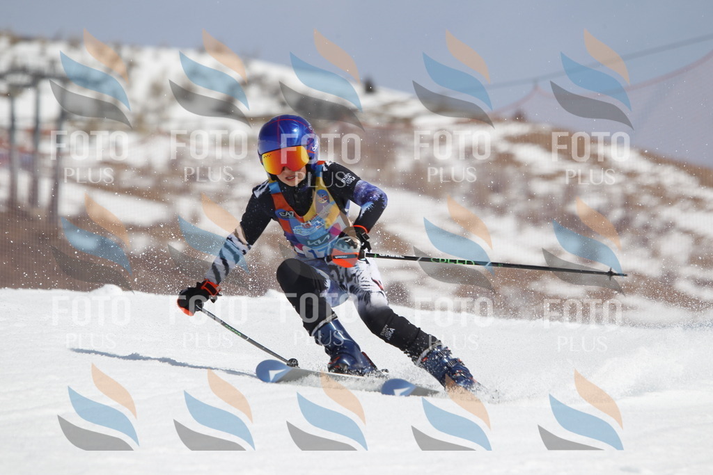 _U3G1635 | holidayphoto