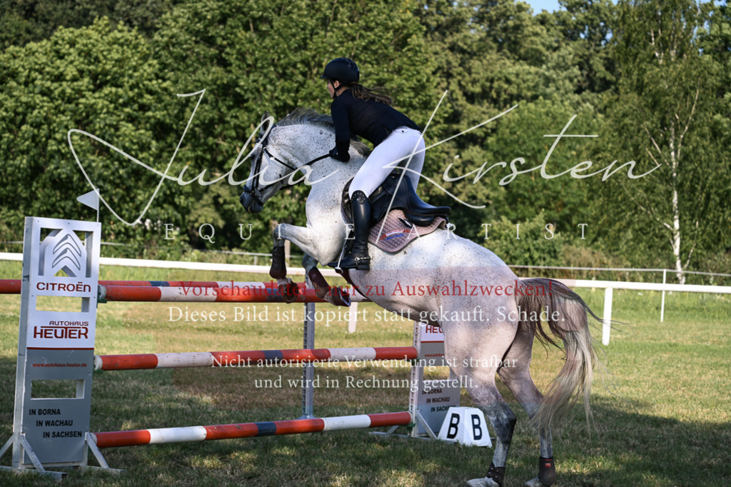 DSC_1746 | Pferde- und Turnierfotografie in Westsachsen. Pferdeportraits, Auftragszeichnungen und intuitive Kunst.