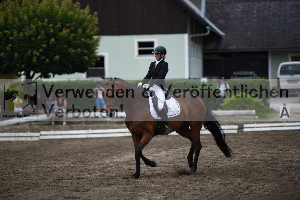 DSC_4799 | equestrian-live-com