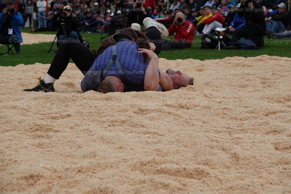 DSC03373 | Schwingen - Realisiert mit Pictrs.com